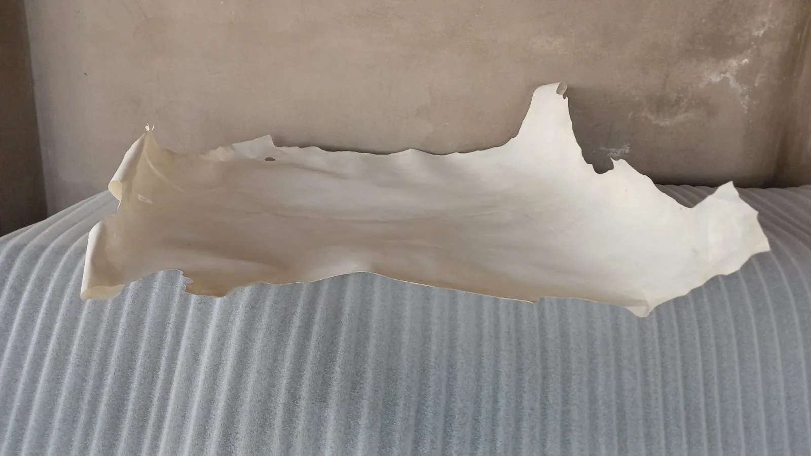 Piel de pergamino natural vista horizontal